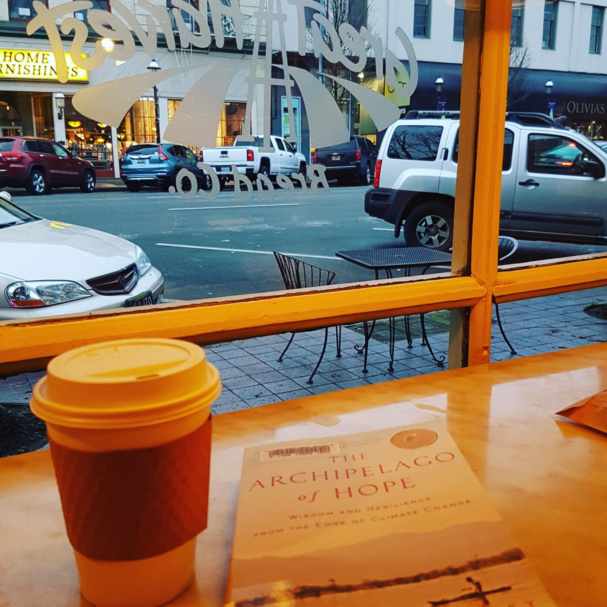 coffee, book, looking out the window