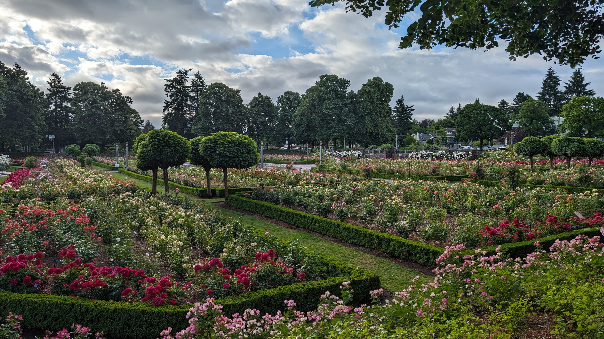 Serving as ILS Chair – 2025